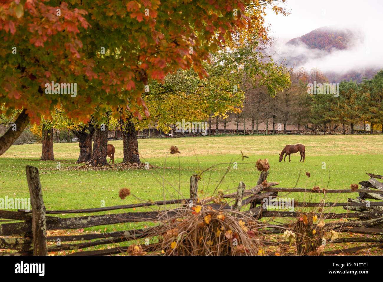 Dillard House Stables in Dillard, Georgia with low hanging clouds creeping down the autumn colored mountains. (USA) Stock Photo