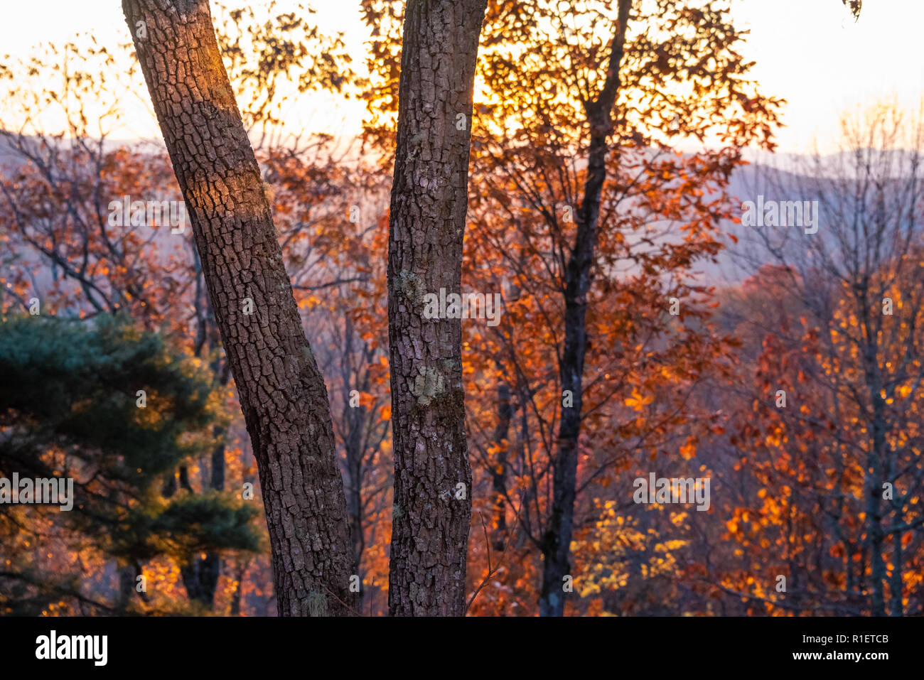 Blue Ridge Mountains sunrise from Sapphire, North Carolina. (USA) Stock Photo