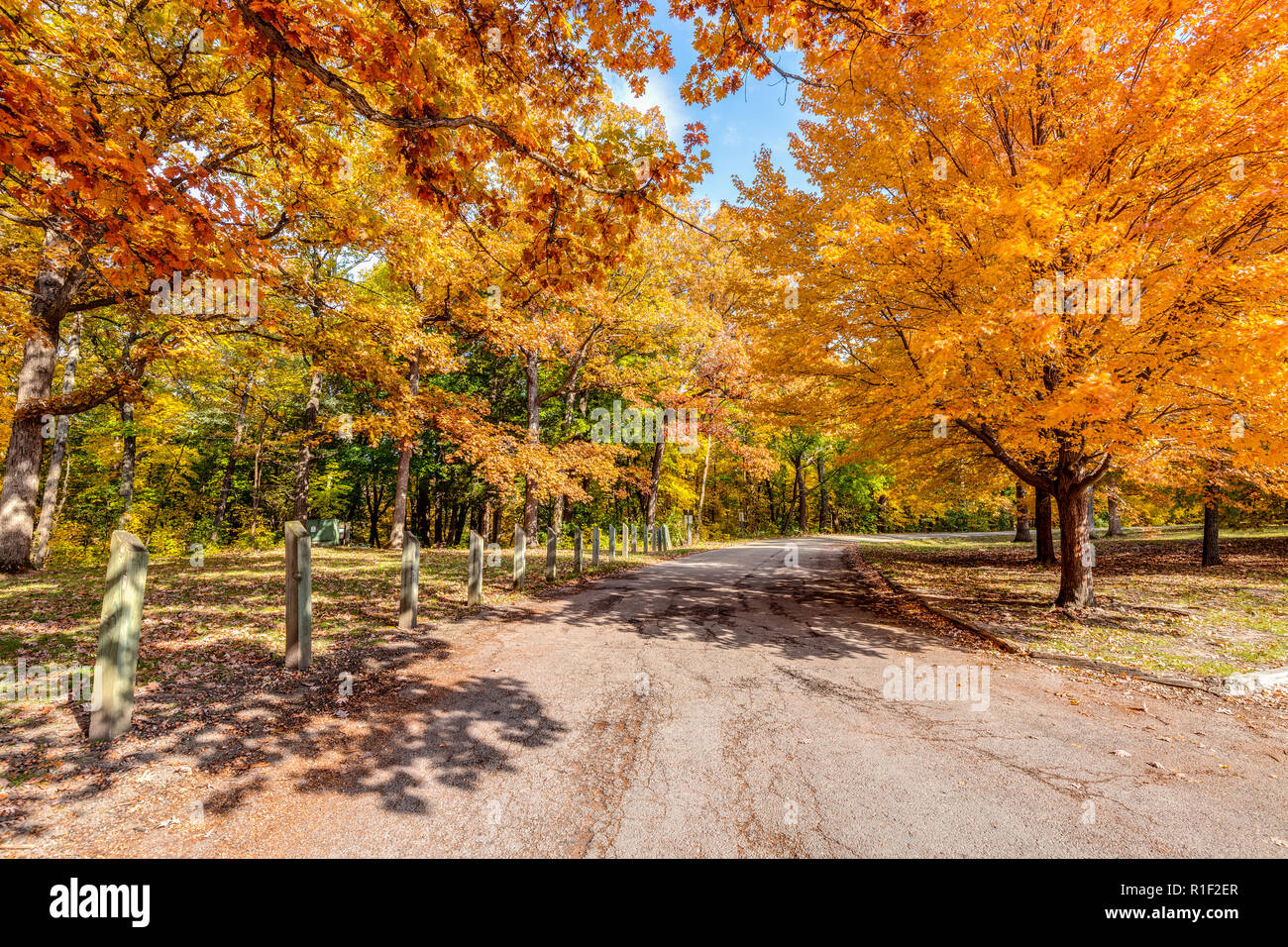 A road in the fall at Matthiesen State Park with the foliage turning yellow/orange and the leaves falling off of the trees with a blue sky. Stock Photo