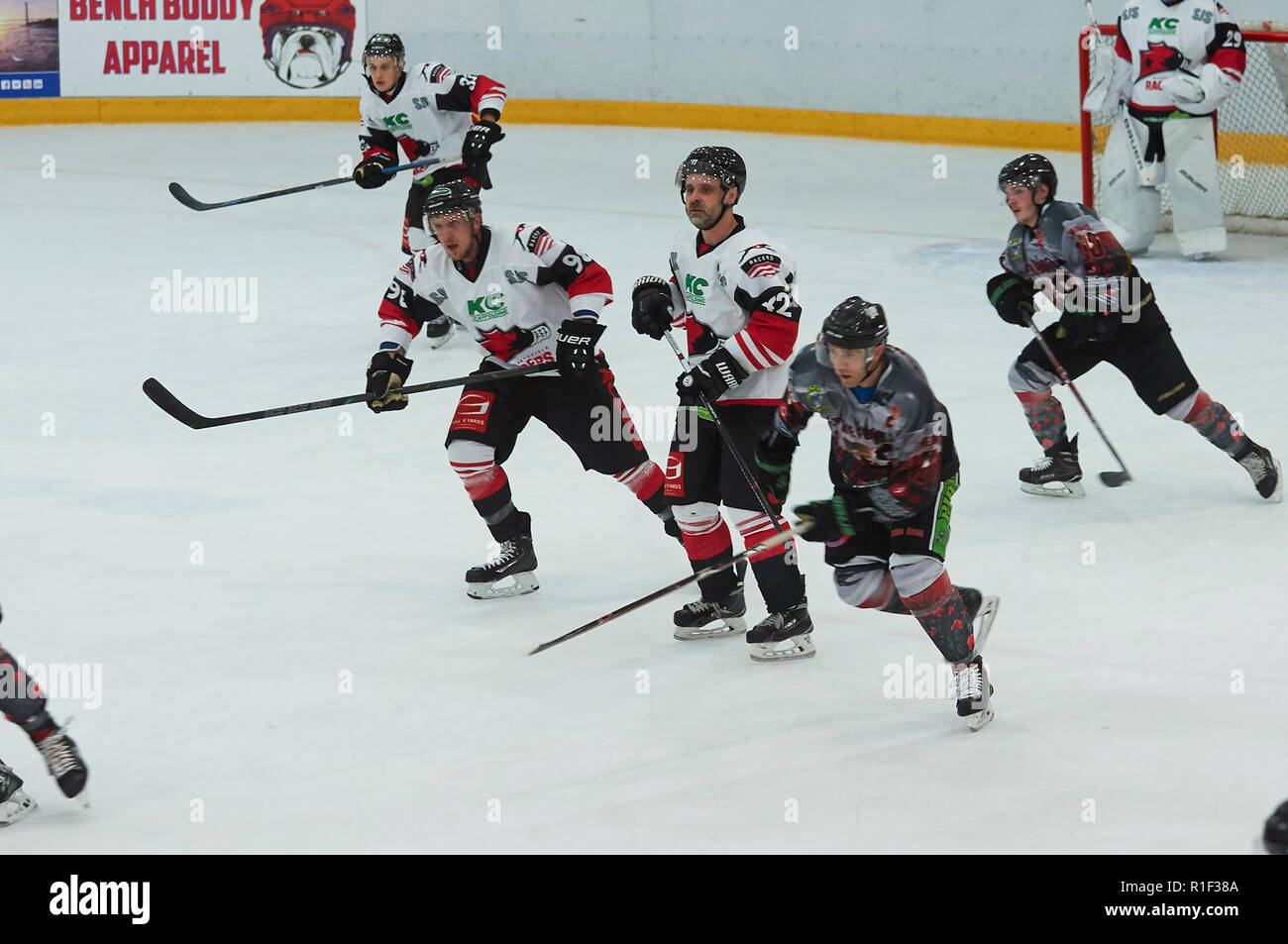 Hull pirates ice hockey hi-res stock photography and images - Alamy