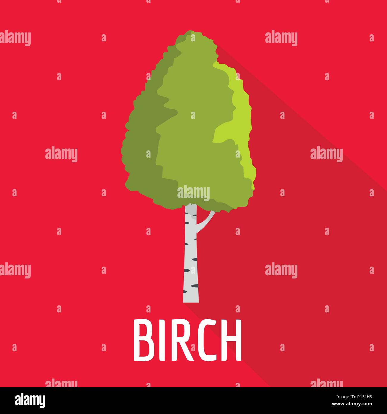 Birch tree icon. Flat illustration of birch tree vector icon for web