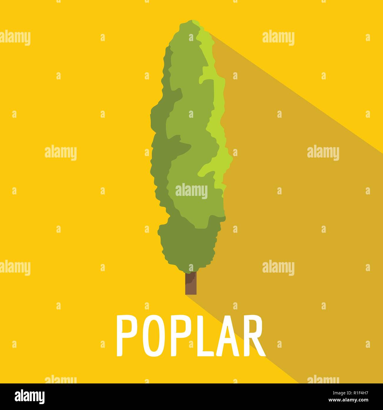 Poplar tree icon. Flat illustration of poplar tree vector icon for web