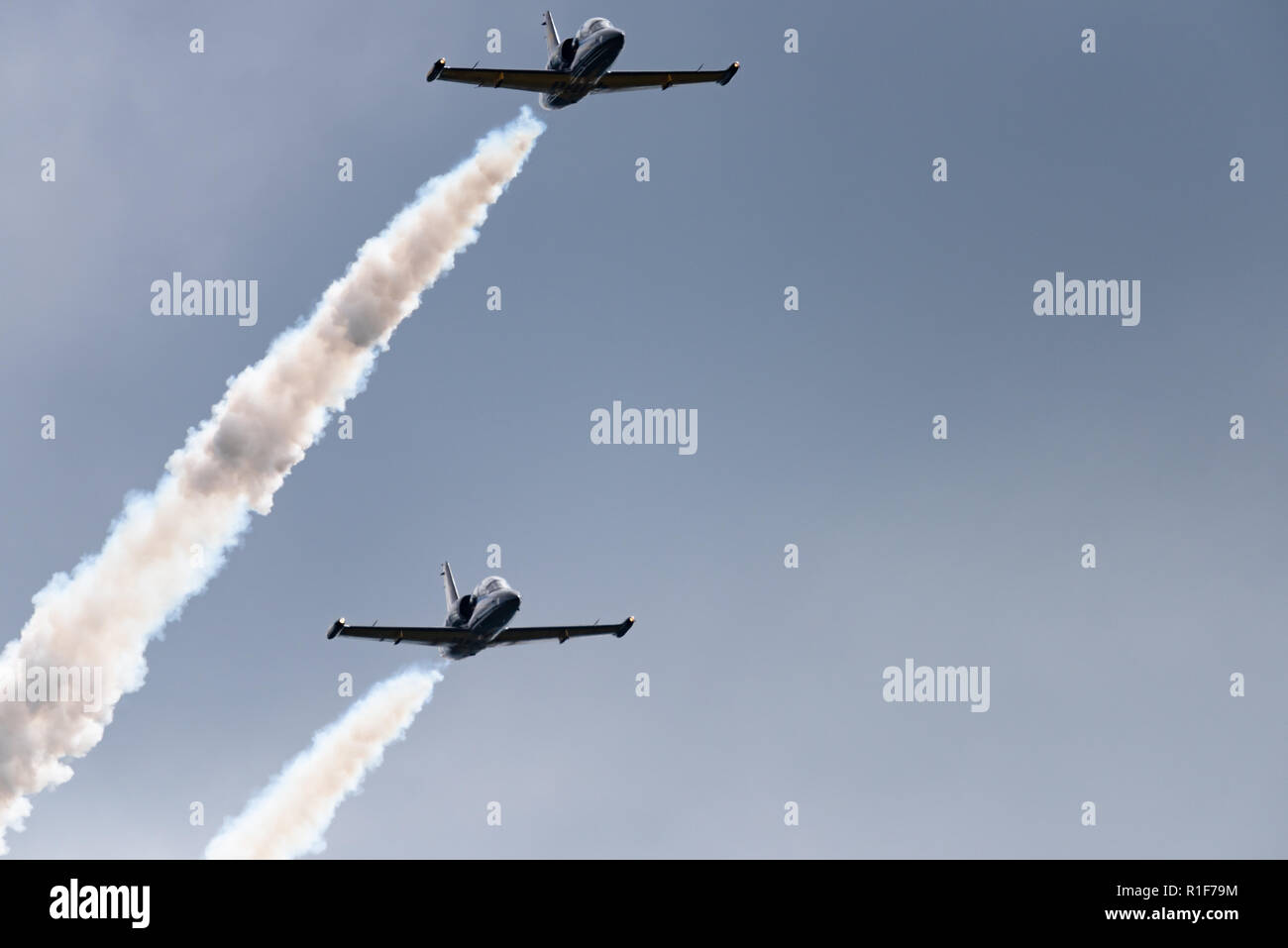 L 39 albatross hi-res stock photography and images - Alamy