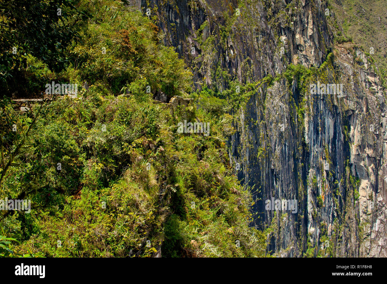 Matsu Pitsu ancient route and path Stock Photo Alamy