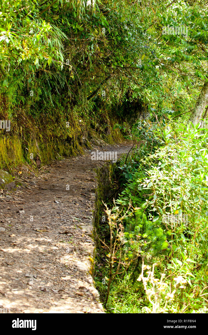 Matsu Pitsu ancient route and path Stock Photo Alamy