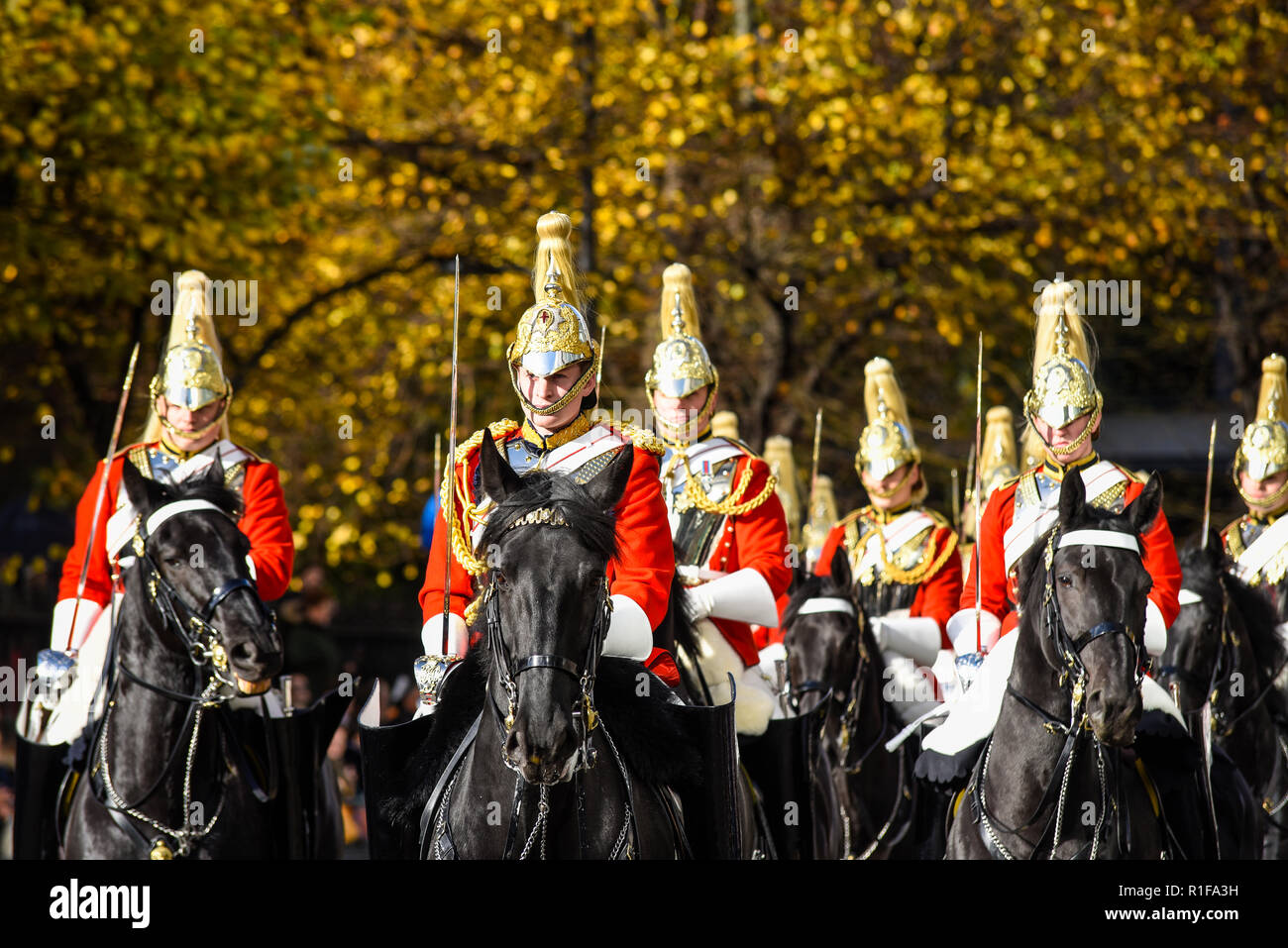 Life Guards of the Household Cavalry Mounted Regiment on horseback at the Lord Mayor's Show Parade, London, UK. Autumn leaves on tree. Fall colors Stock Photo