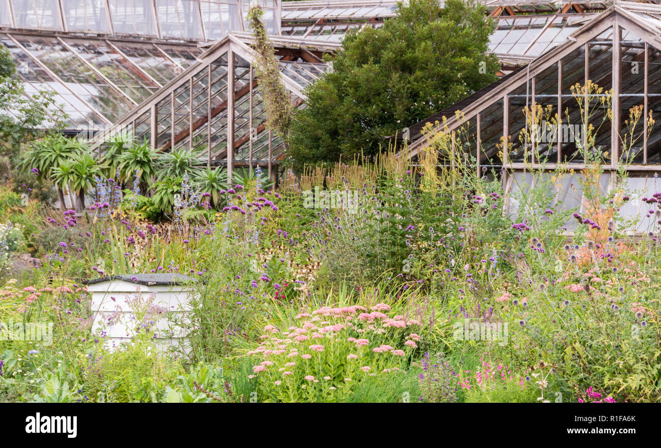 Garden plot with greenhouses hi-res stock photography and images - Alamy