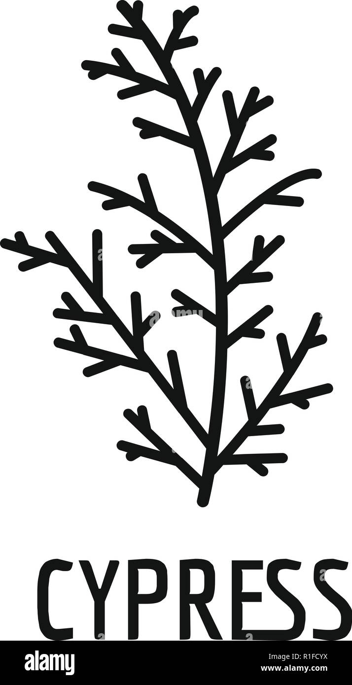 Cypress leaf icon. Simple illustration of cypress leaf vector icon for