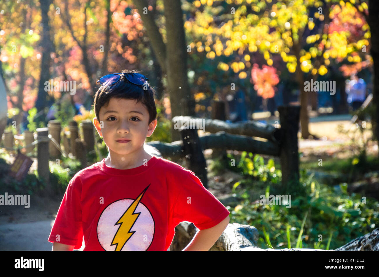 A portrait of a young boy against autumn leaves Stock Photo - Alamy
