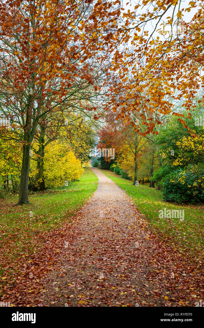A gravel path through the countrysude in autumn, England Stock Photo