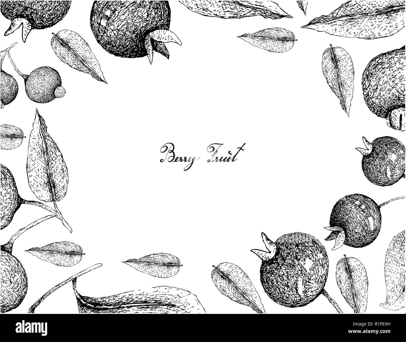Berry Fruit, Illustration Frame of Hand Drawn Sketch of Fresh Grumichama Cherries or Eugenia Brasiliensis and Guabiju or Myrcianthes Pungens Fruits Is Stock Vector