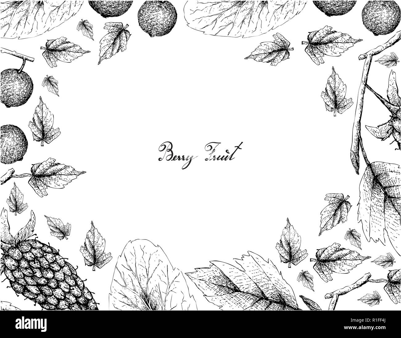 Berry Fruits, Illustration Frame of Hand Drawn Sketch Delicious Fresh Loganberries and Madagascar Plums or Flacourtia Indica Fruits Isolated on White  Stock Vector