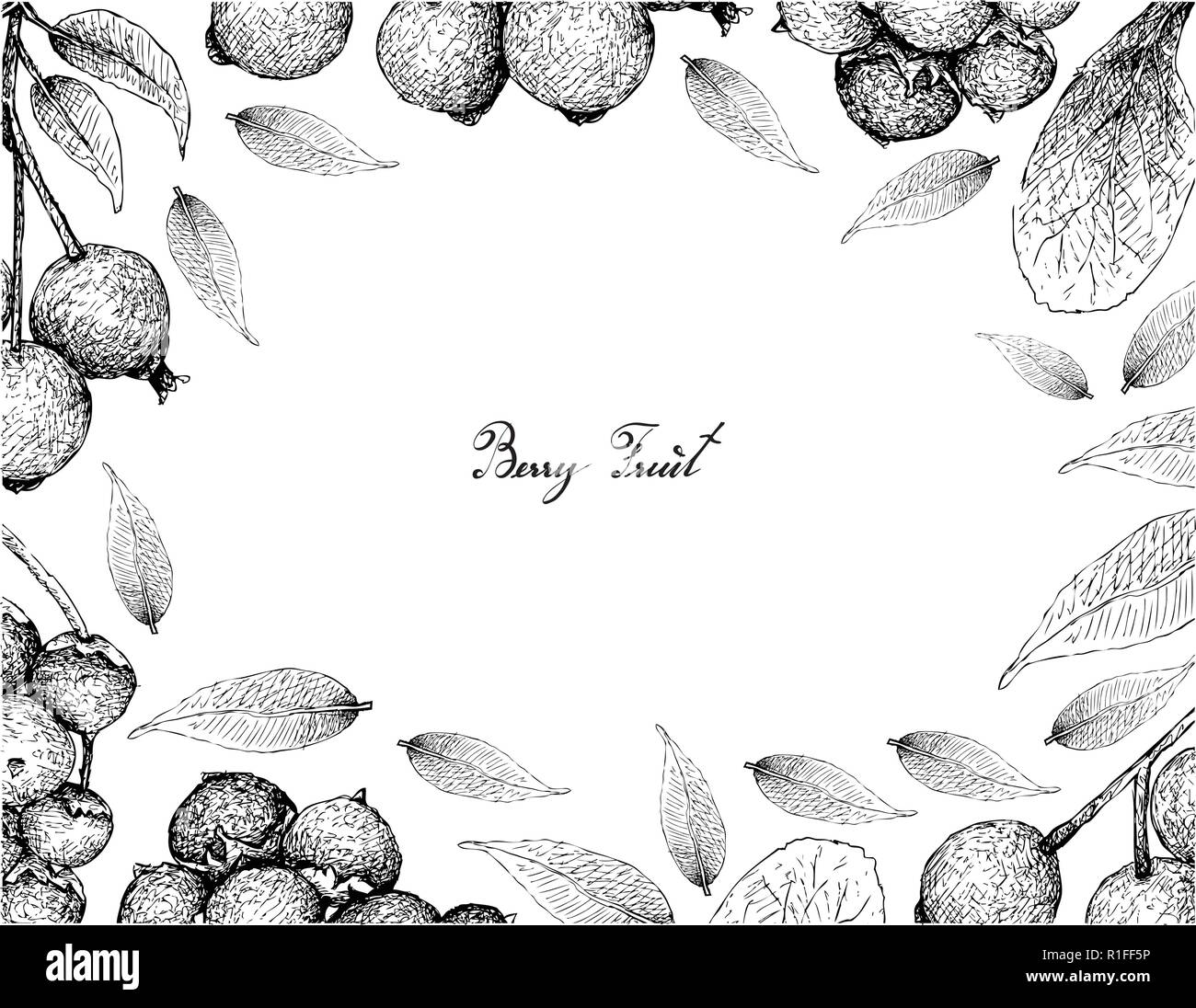 Berry Fruit, Illustration Frame of Hand Drawn Sketch of Jostaberries and Magenta Lilly Pilly, Magenta Cherry or Syzygium Paniculatum Fruits Isolated o Stock Vector