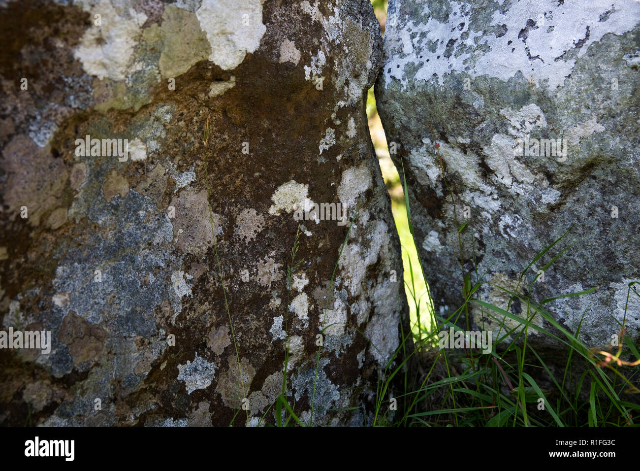 Stone building remains at Chysauster Ancient Iron Age Village, near