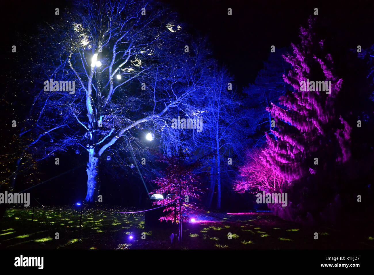 Aylesbury, Buckinghamshire, UK. 11th Nov, 2018. Waddesdon Manor