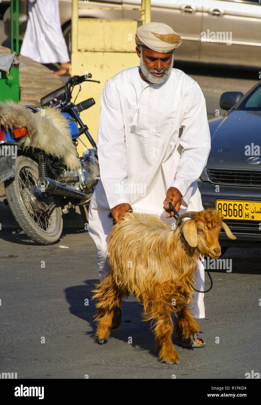 Nizwa, Oman. 23rd Nov, 2012. In Nizwa, an Omani pushes a goat, which he has just bought at the famous cattle market, to his vehicle. | usage worldwide Credit: dpa/Alamy Live News Stock Photo