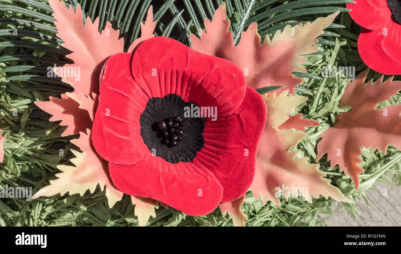Remembrance day in Halifax Nova Scotia Stock Photo Alamy