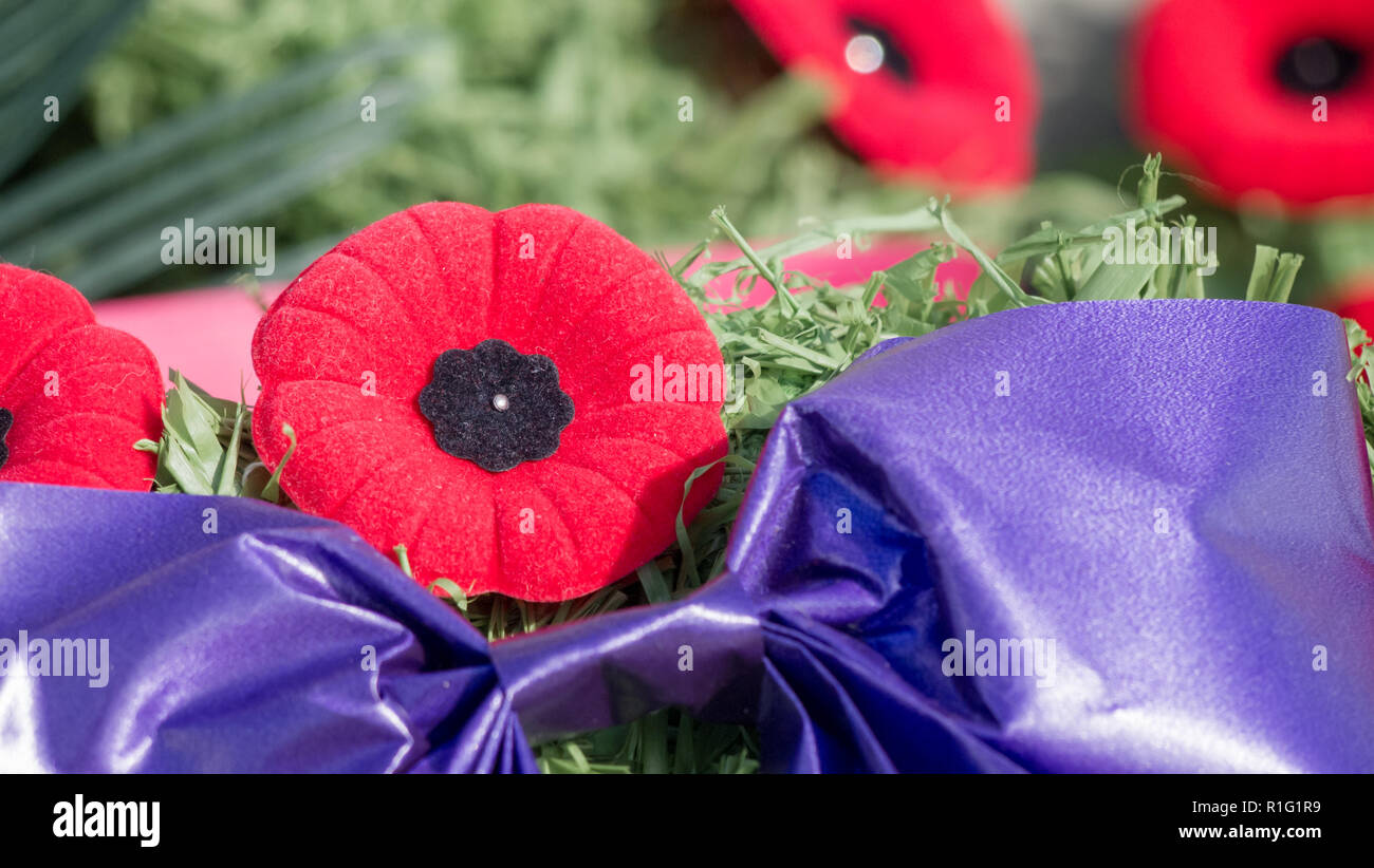 Is Remembrance Day A Paid Holiday In Nova Scotia At Noah Murillo Blog