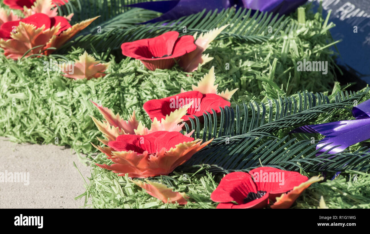 Remembrance day in Halifax Nova Scotia Stock Photo Alamy