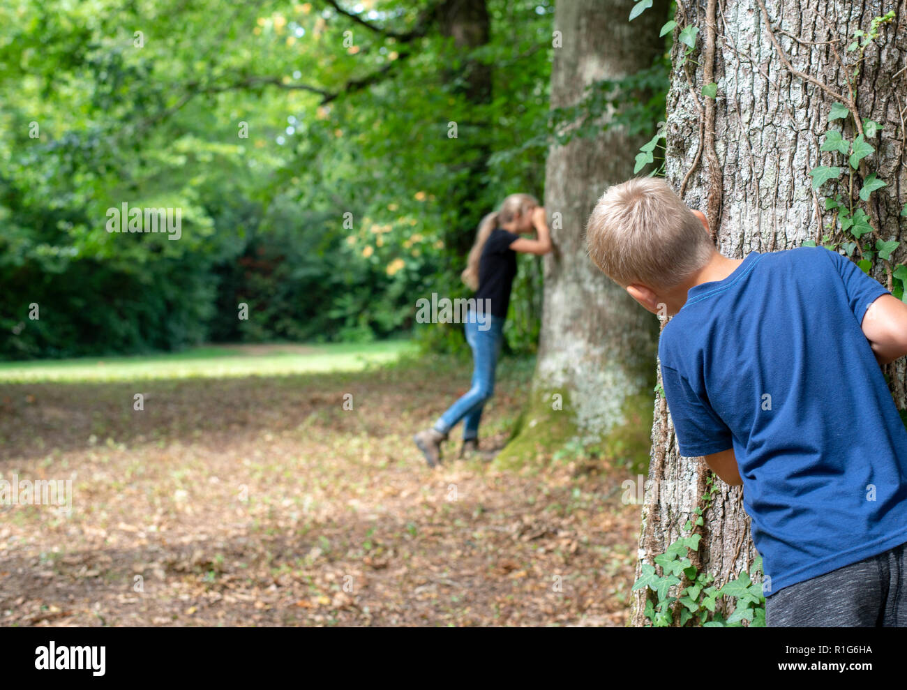 Young kids playing hide and seek in forest Stock Photo