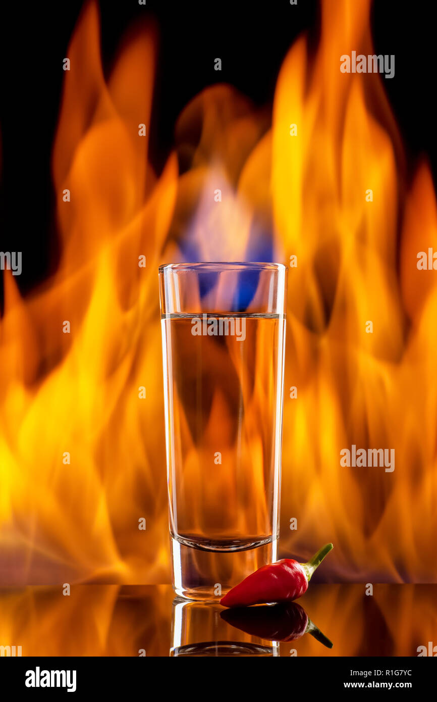 tequila or vodka shot with chili pepper Stock Photo