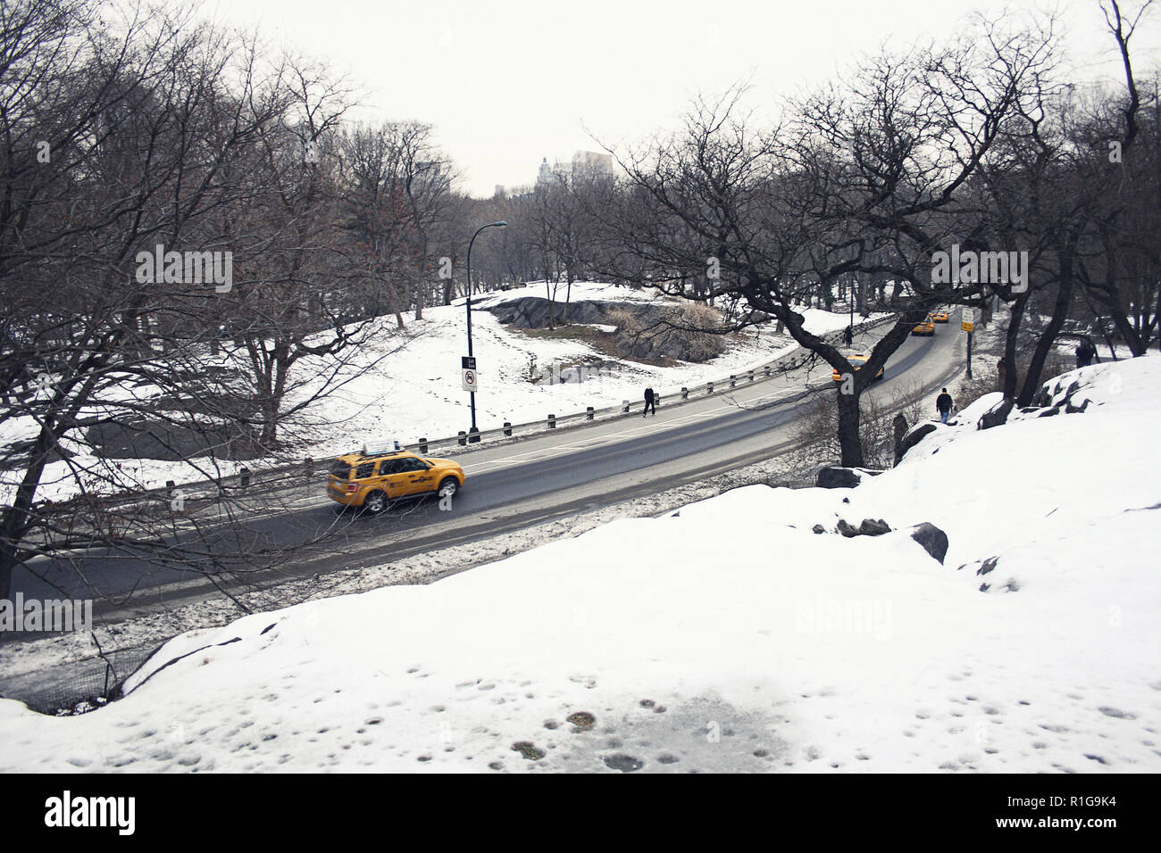 Winter New York City, Central Park Manhattan Snowing Stock Photo Alamy