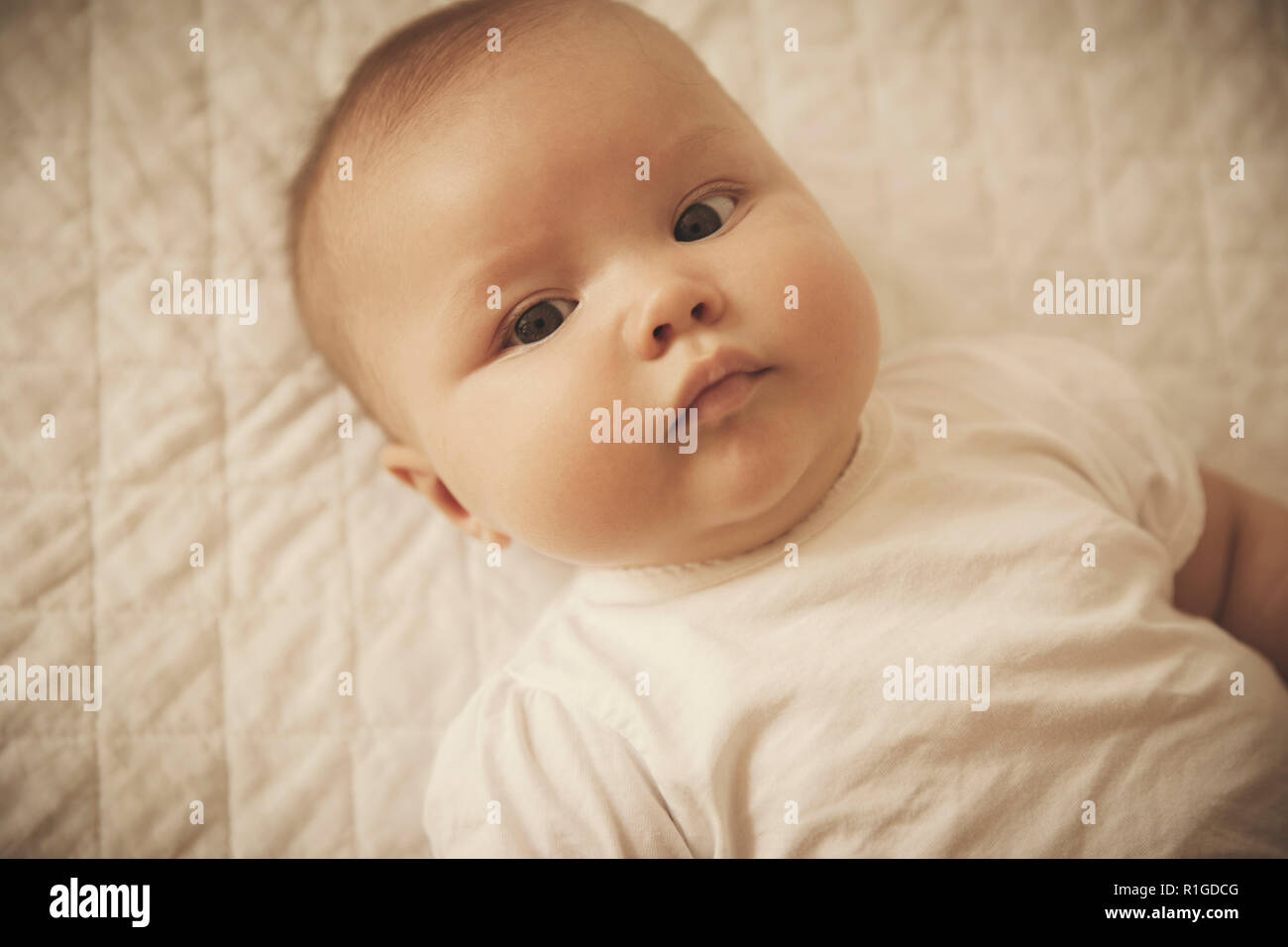 Portrait of a cute baby Stock Photo