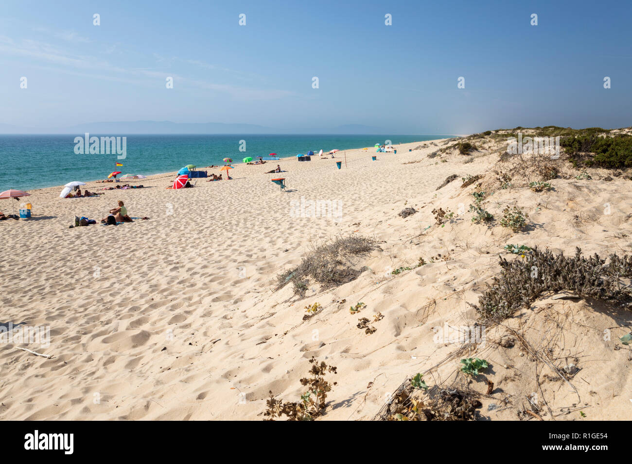 Praia da Comporta in afternoon sun, Comporta, Troia peninsula, Setubal district, Lisbon region, Portugal, Europe Stock Photo