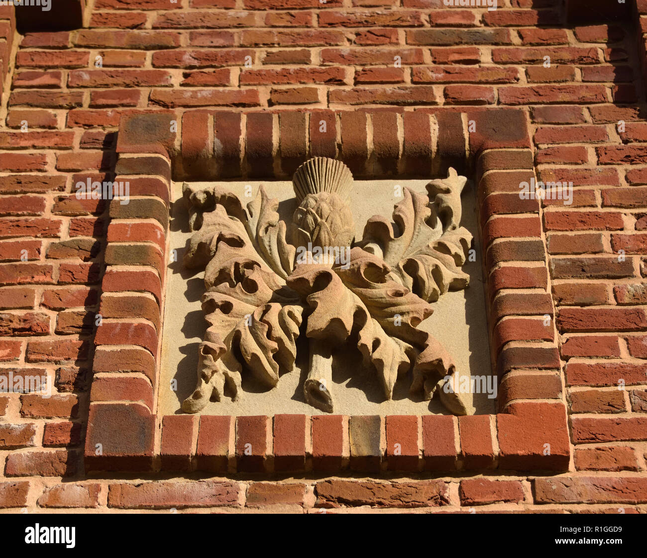 Scottish thistle carved stone panel. The Belvedere, Queen Elizabeth