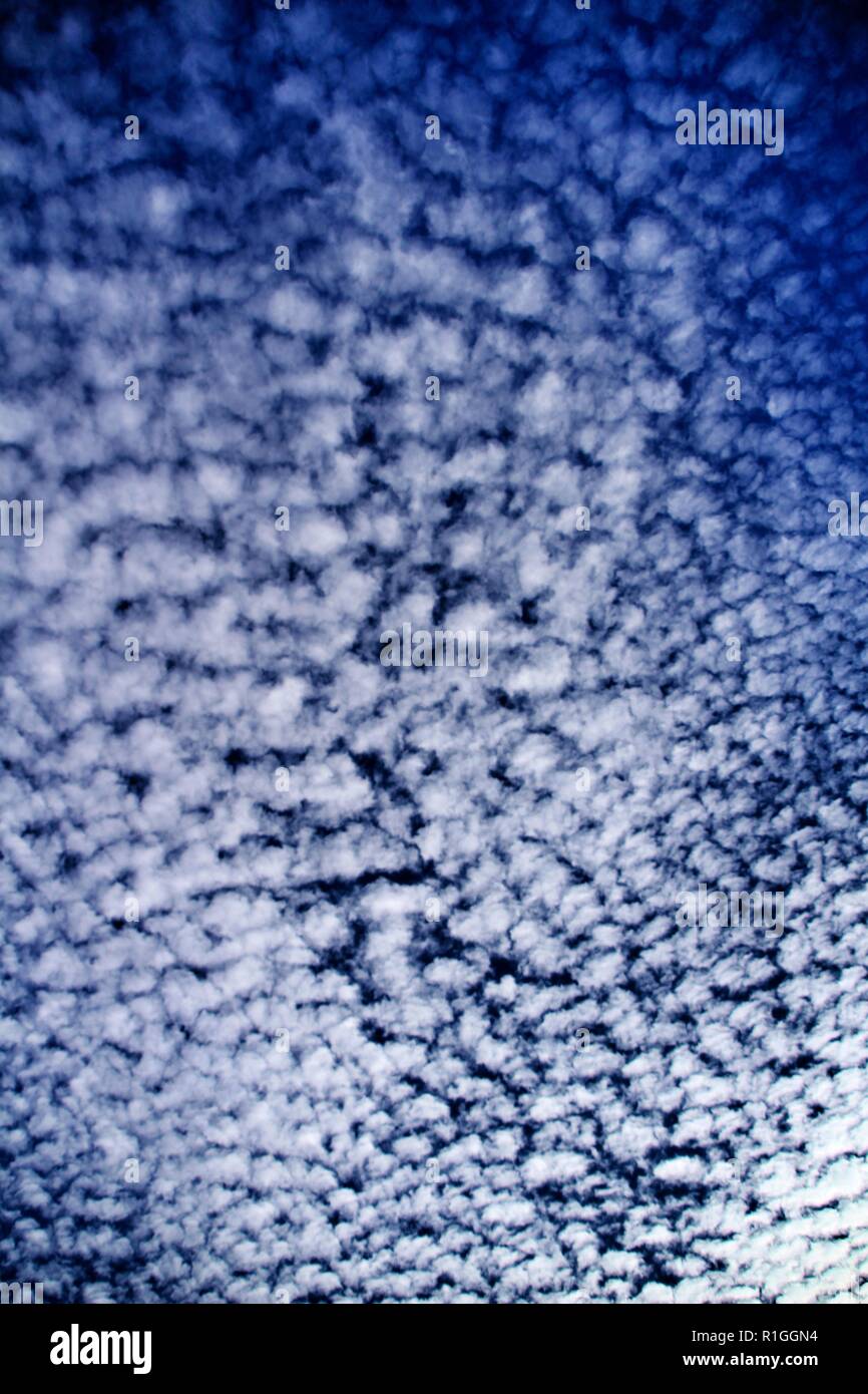 Altocumulus cloud formation mackerel sky hires stock photography and