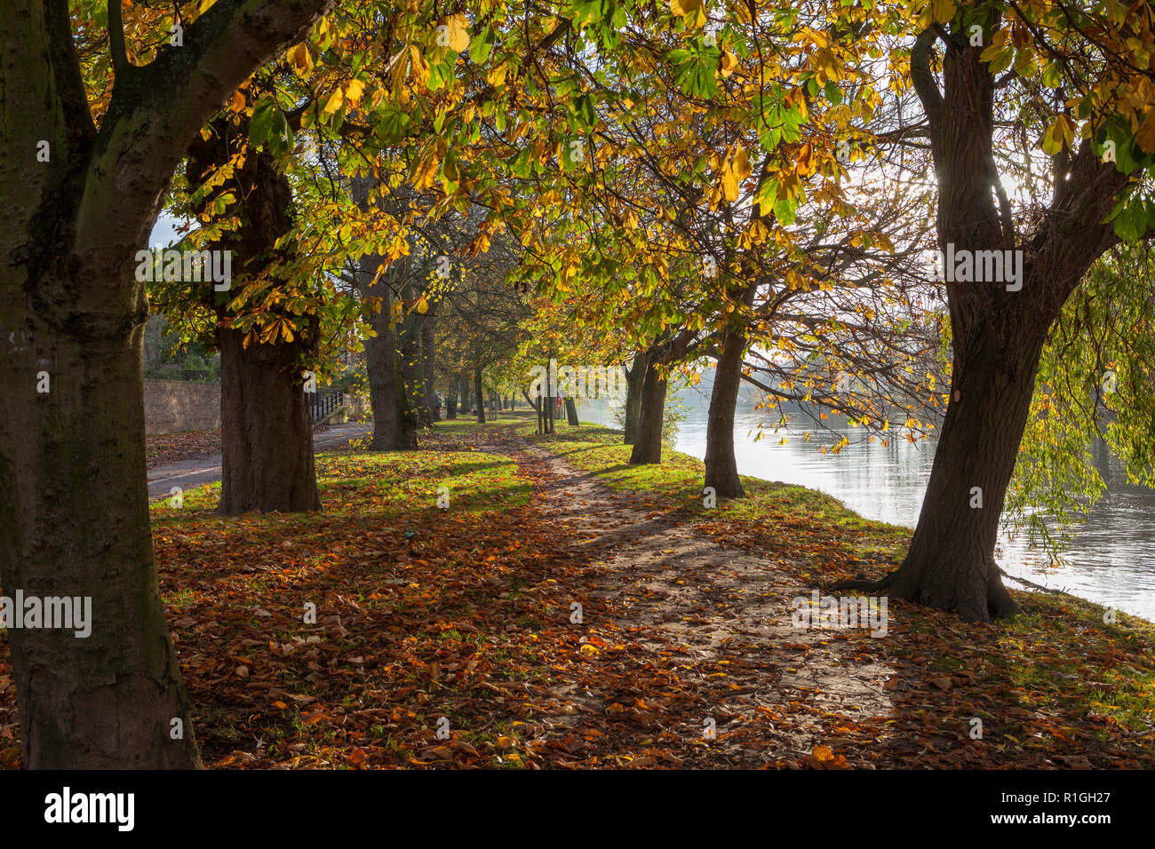an Autumn view of the New Walk, a Georgian promenade beside the River Ouse near York Stock Photo