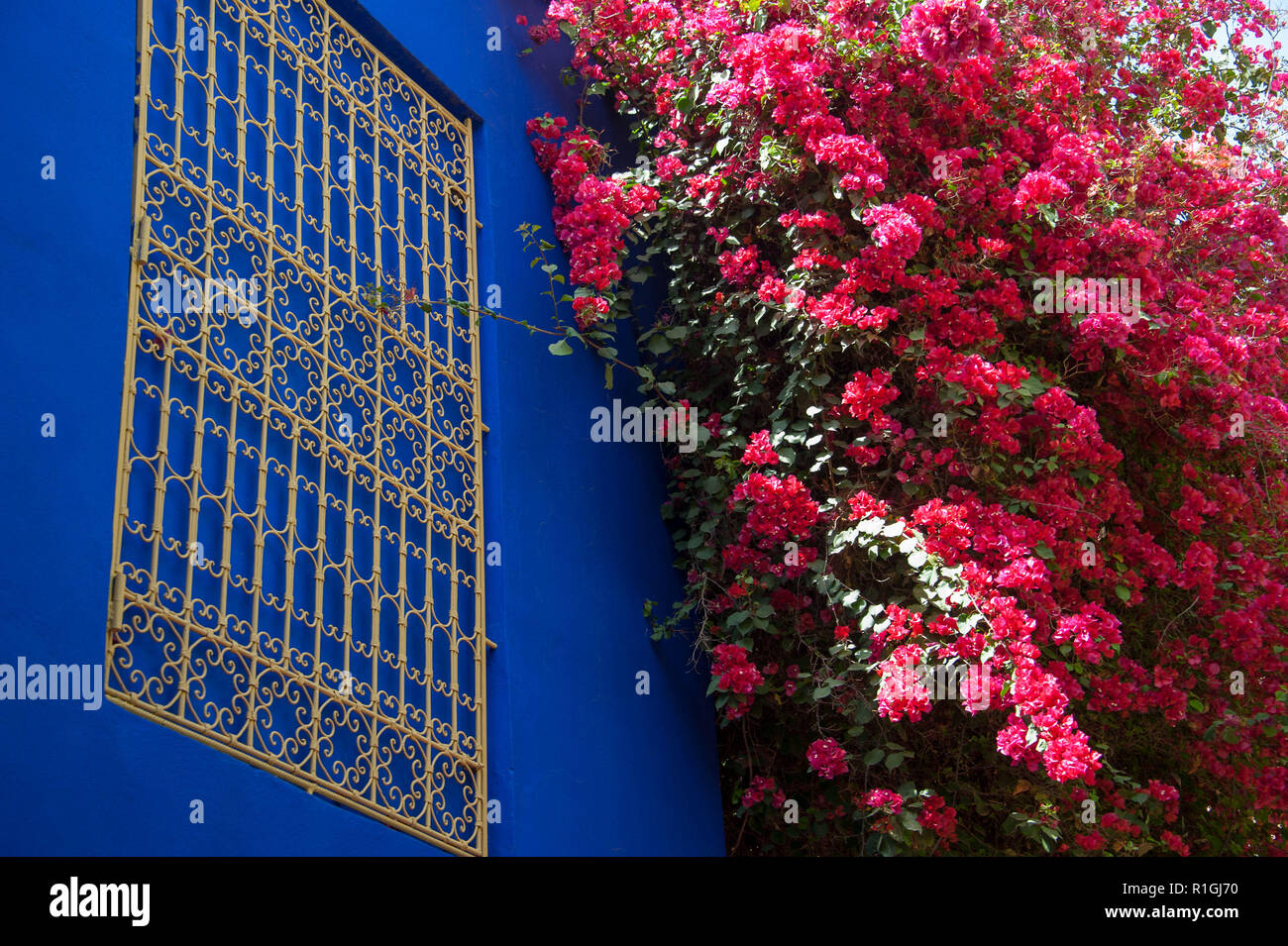 18-04-11. Marrakech, Morocco.  The Majorelle Garden (Jardin Majorelle, ) is a two and half acre botanical garden and artist's landscape garden in Marr Stock Photo