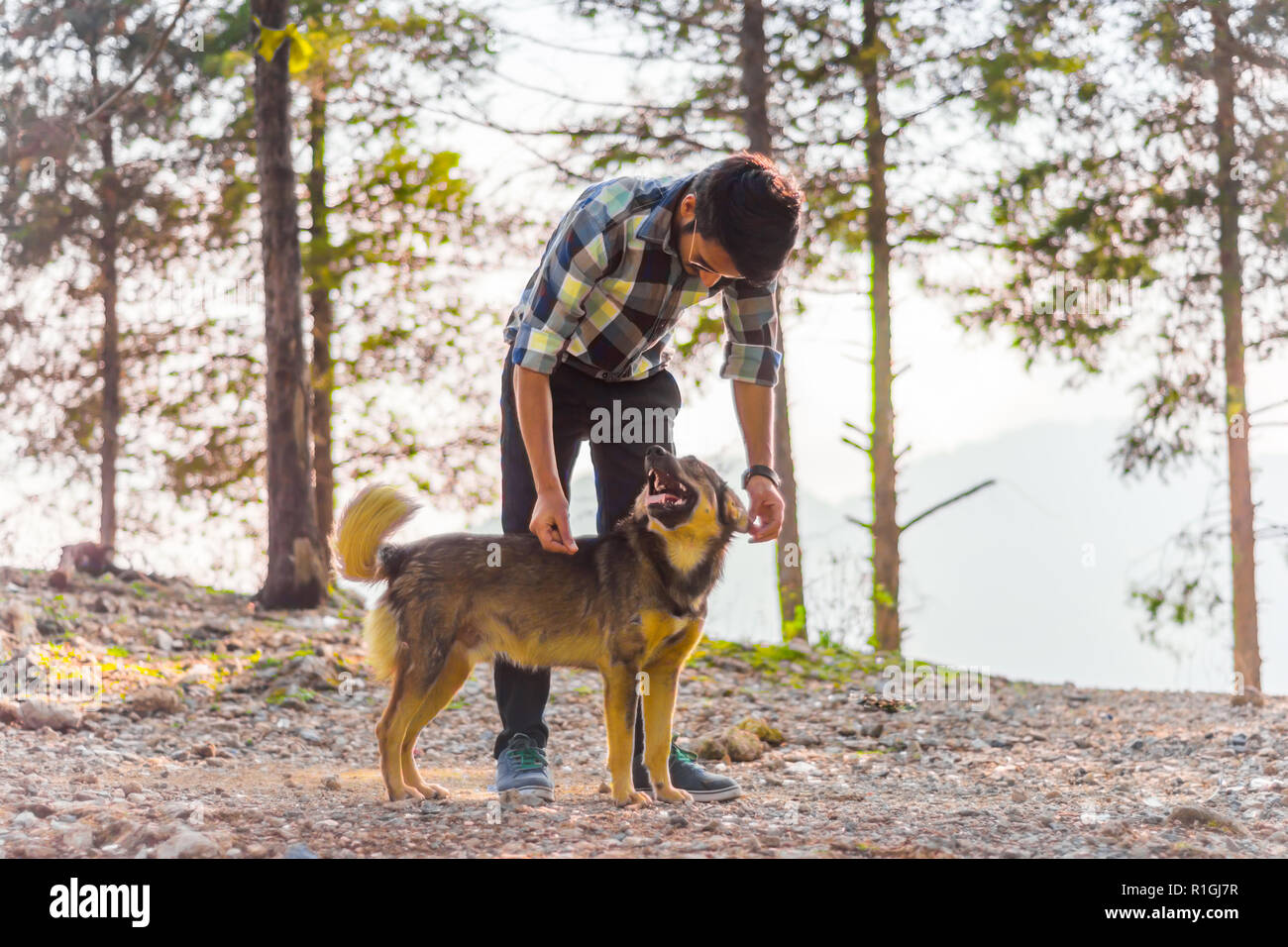 a black haired man bent over and playing with his dog on a rough, stony ground. In the background are conifer trees. Stock Photo