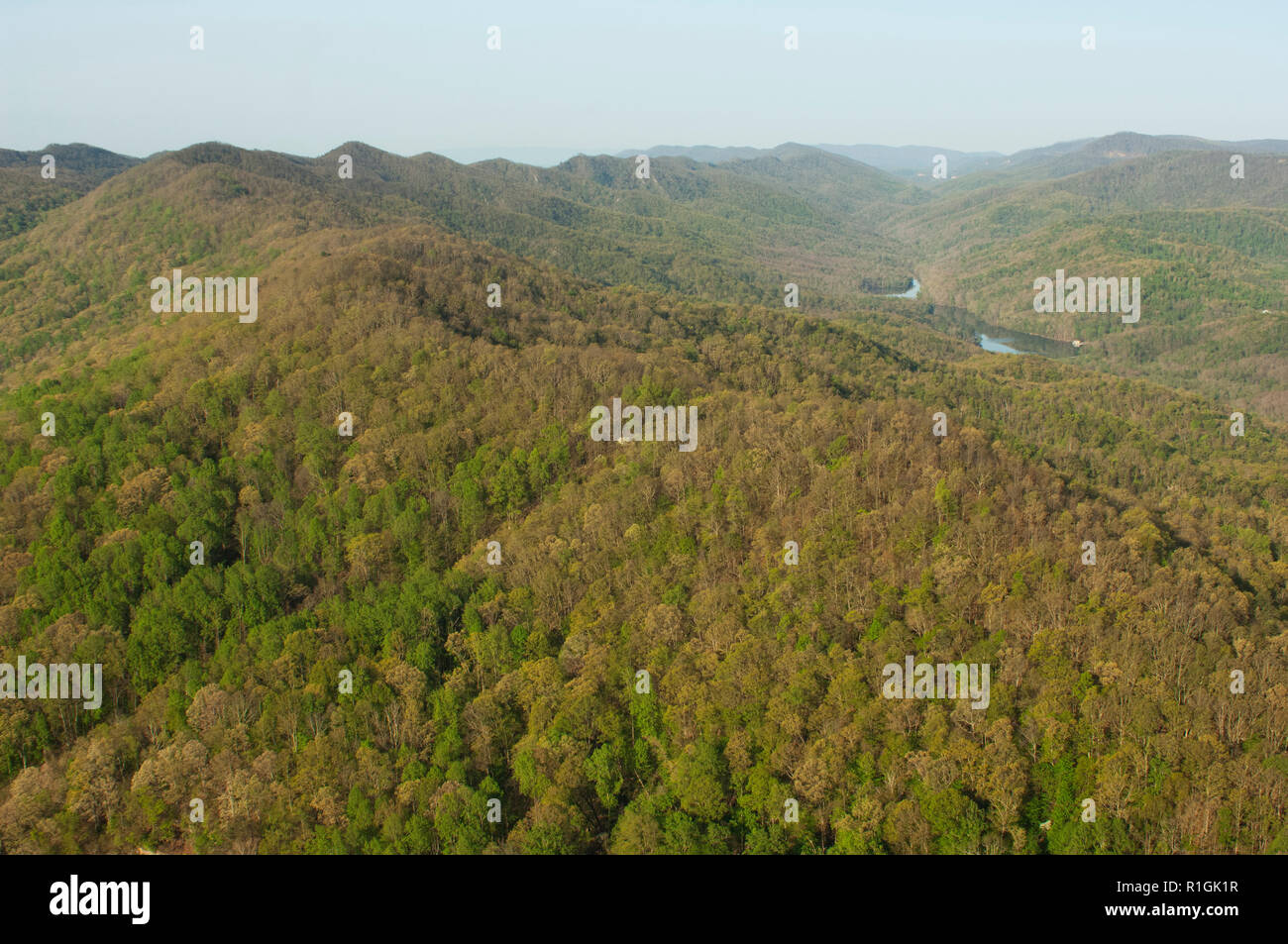 Cumberland Gap, looking south where Virginia, Tennessee, and Kentucky
