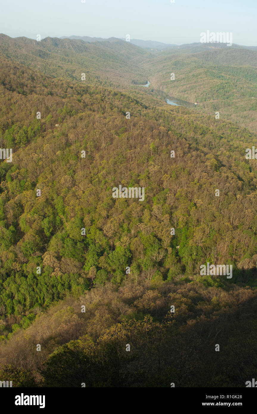 Cumberland Gap, looking south where Virginia, Tennessee, and Kentucky
