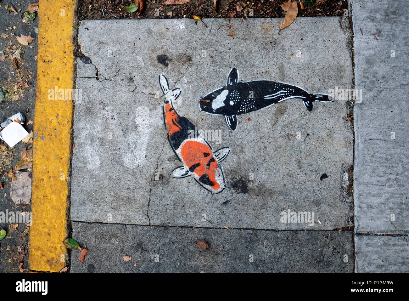 Koi stencil art by Jeremy Novy on a sidewalk in San Francisco ...