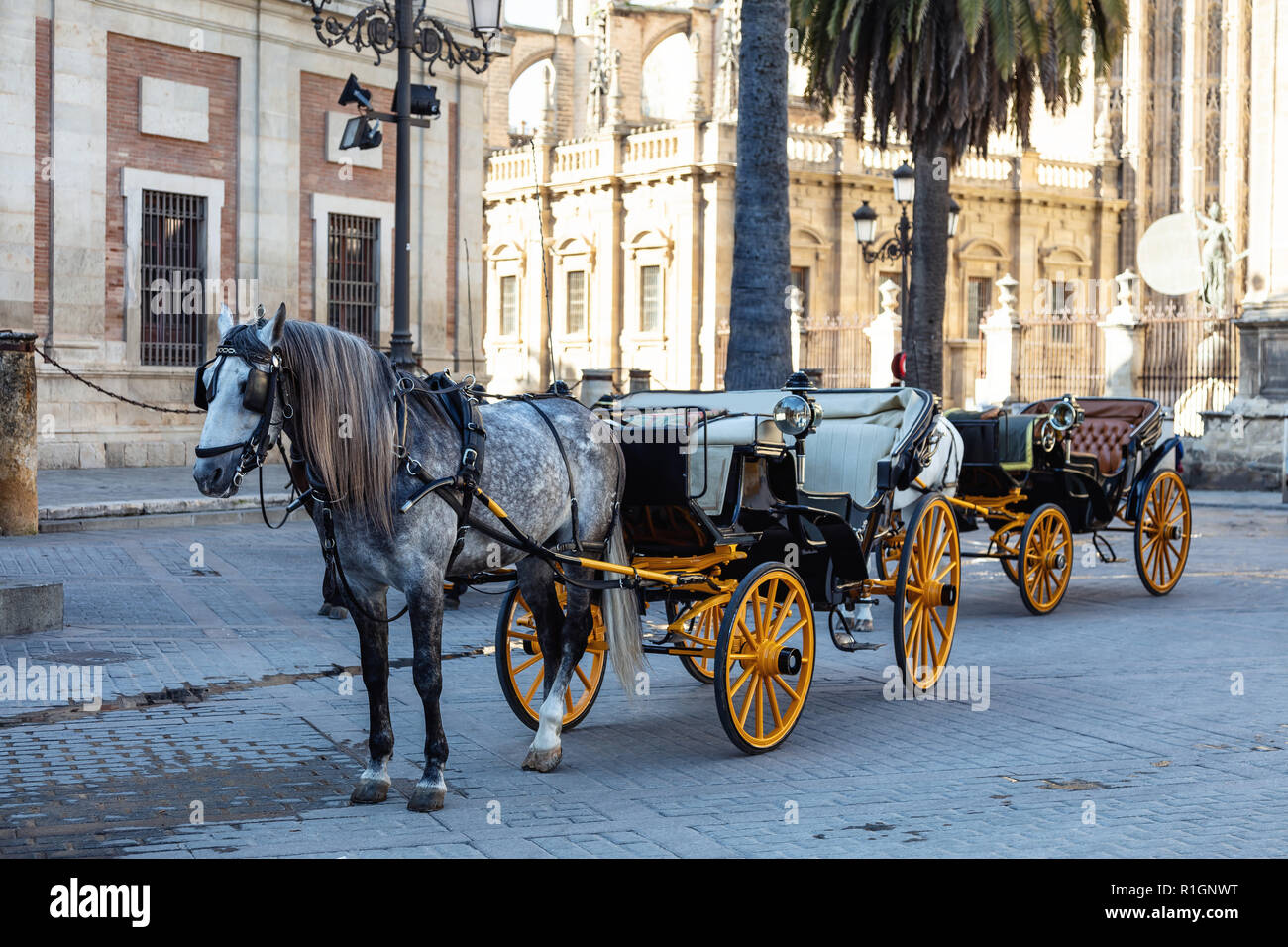 Carriage ride : Seville, Andalusia, Spain Stock Photo
