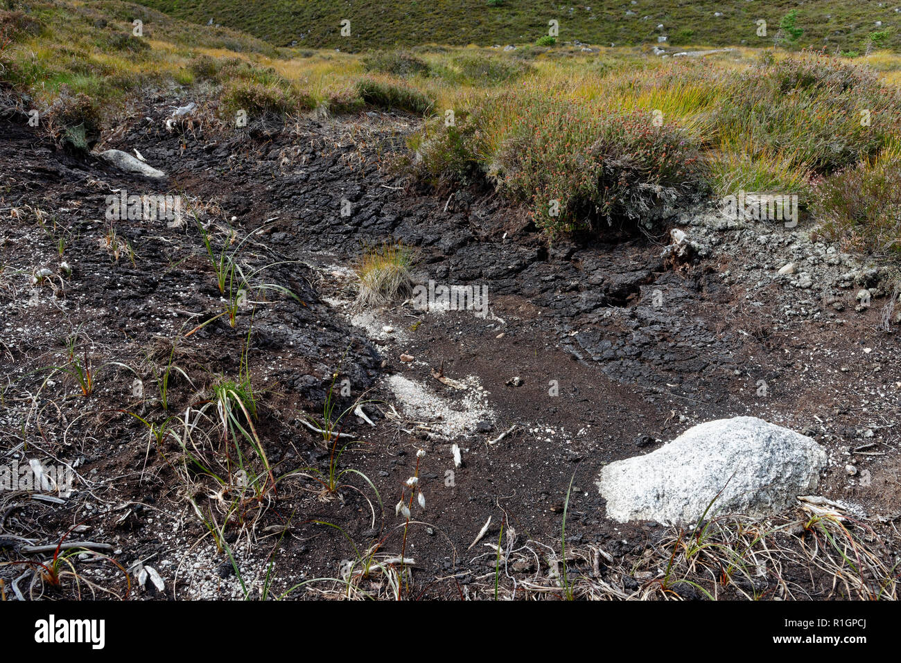 Scotland Peat Bog High Resolution Stock Photography and Images Alamy