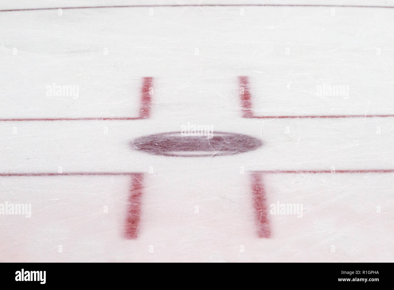 Face off circle, ice hockey. Winter sport Stock Photo Alamy