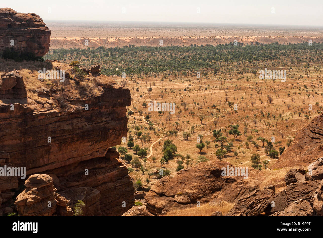 Sahel landscape seen trom the Bandiagara Escarpment in Dogon country, Mali, Africa Stock Photo