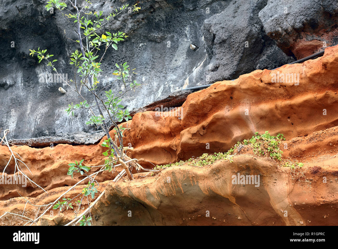 Black and red rock layers of lava and red tuff at the south coast of Madeira Stock Photo