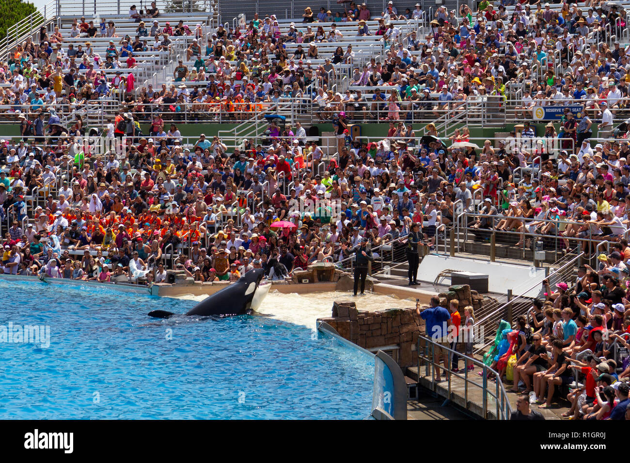 The “Orca Encounter” show at SeaWorld San Diego, California, United ...