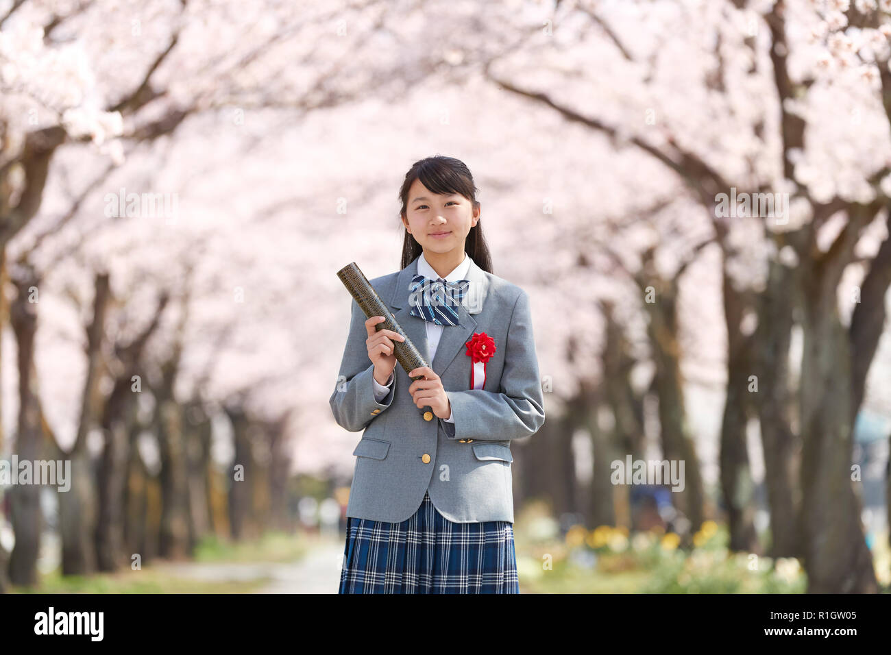 Junior high school graduation hi-res stock photography and images - Alamy