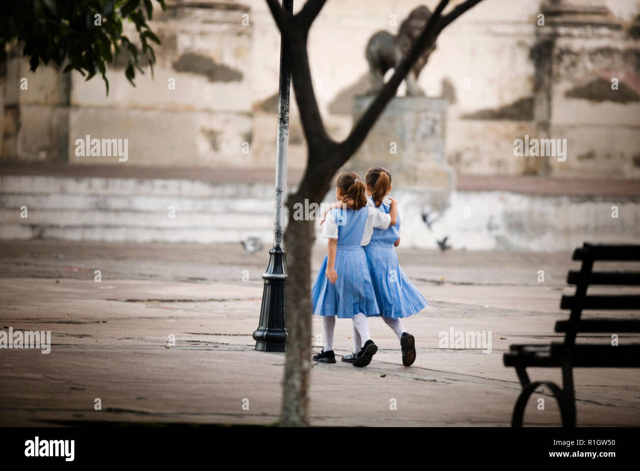 Rear view of two school girls walking Stock Photo - Alamy