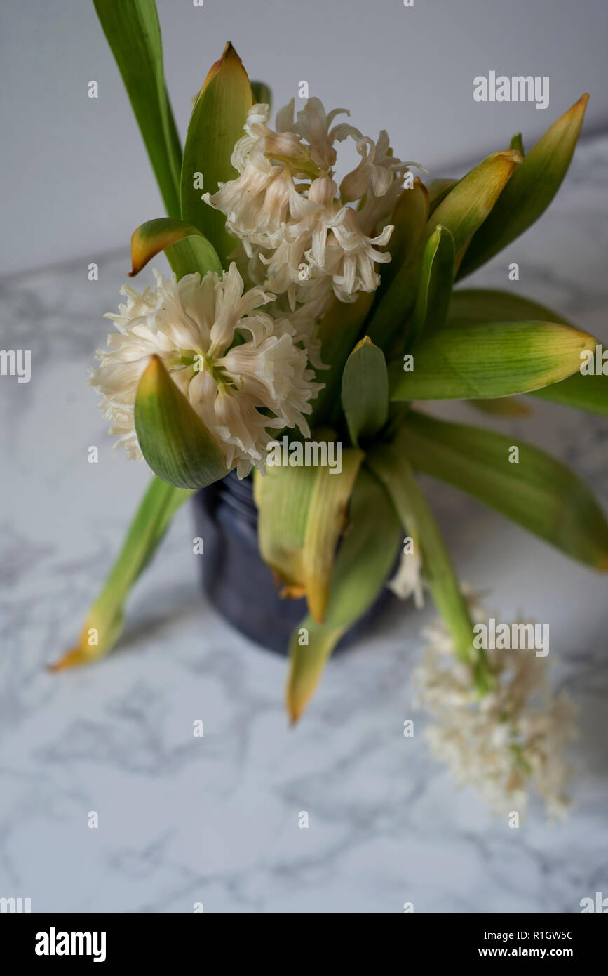 Looking Down at a Dying Floral Arrangement on a Counter with a Light Background Stock Photo