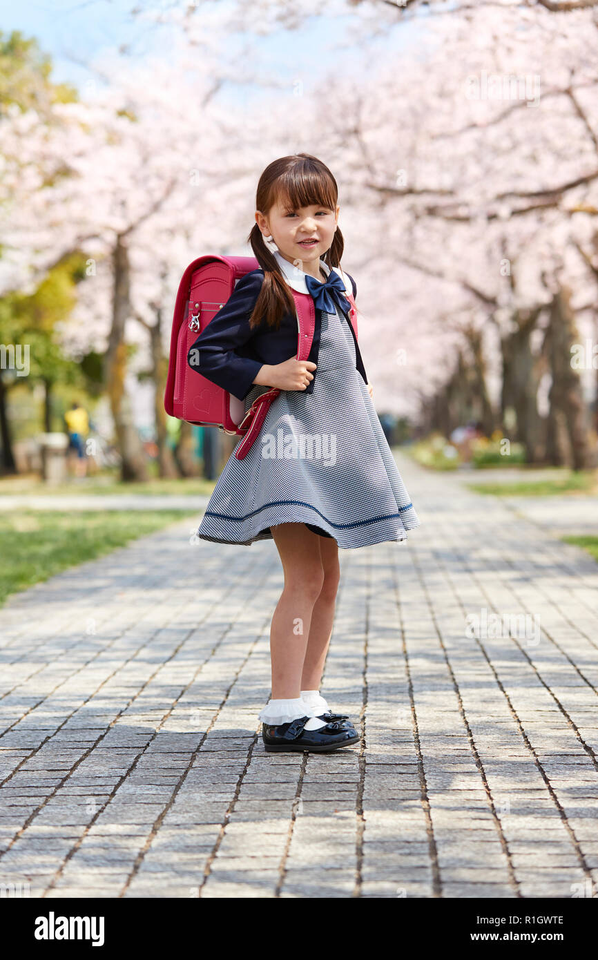 Japanese schoolgirls in their uniforms with cherry blossoms in the  background, Stock Photo, Picture And Rights Managed Image. Pic.  AFL-JJIE008567