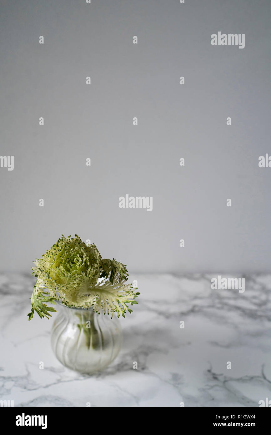 Mini Greenery Filler in a Glass Bud Vase on a Marble Counter and Light Background Stock Photo