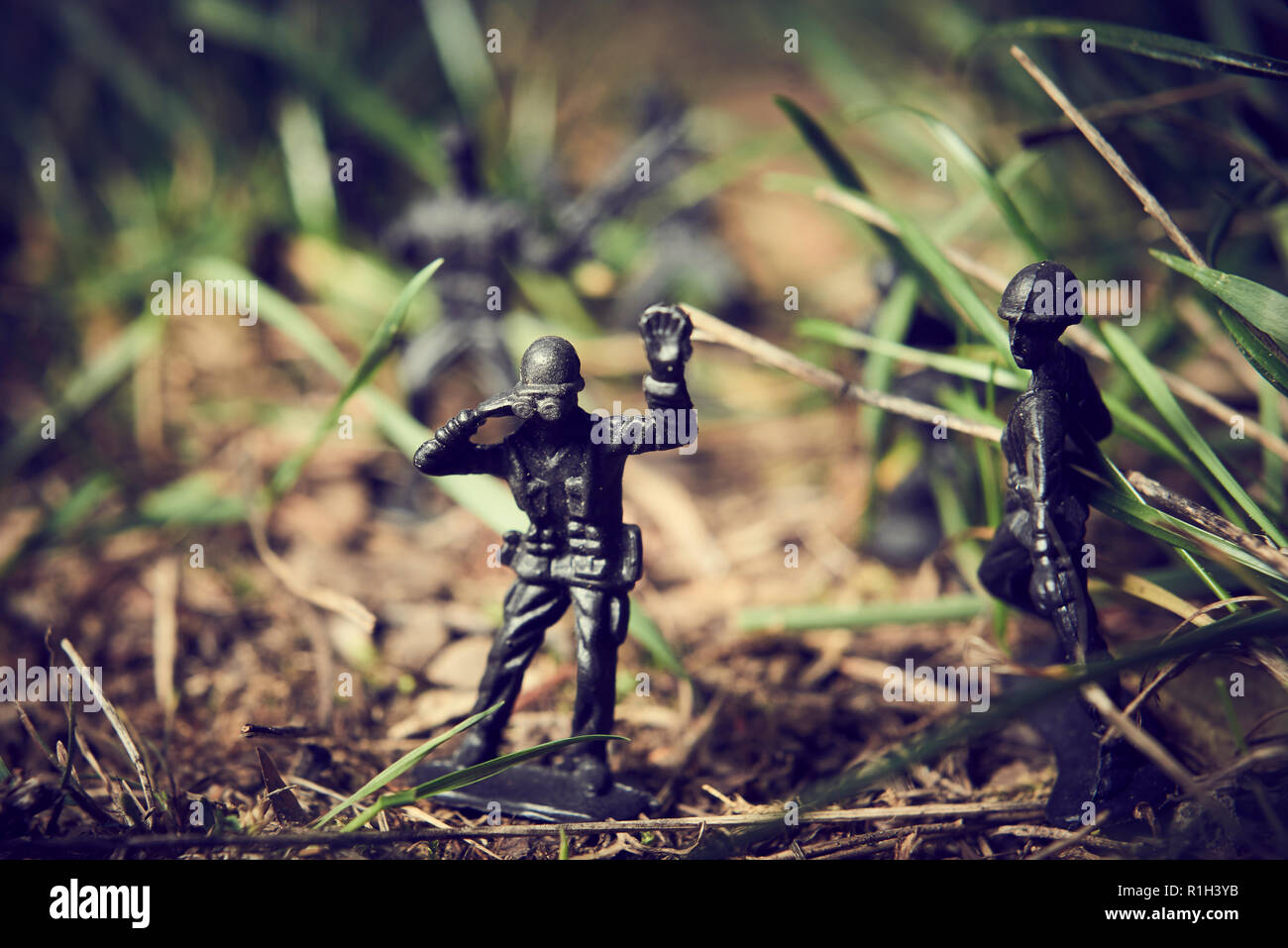 Soldiers in jungle fighting. Concept image of toy plastic soldiers in real grass.  Selective focus. Stock Photo