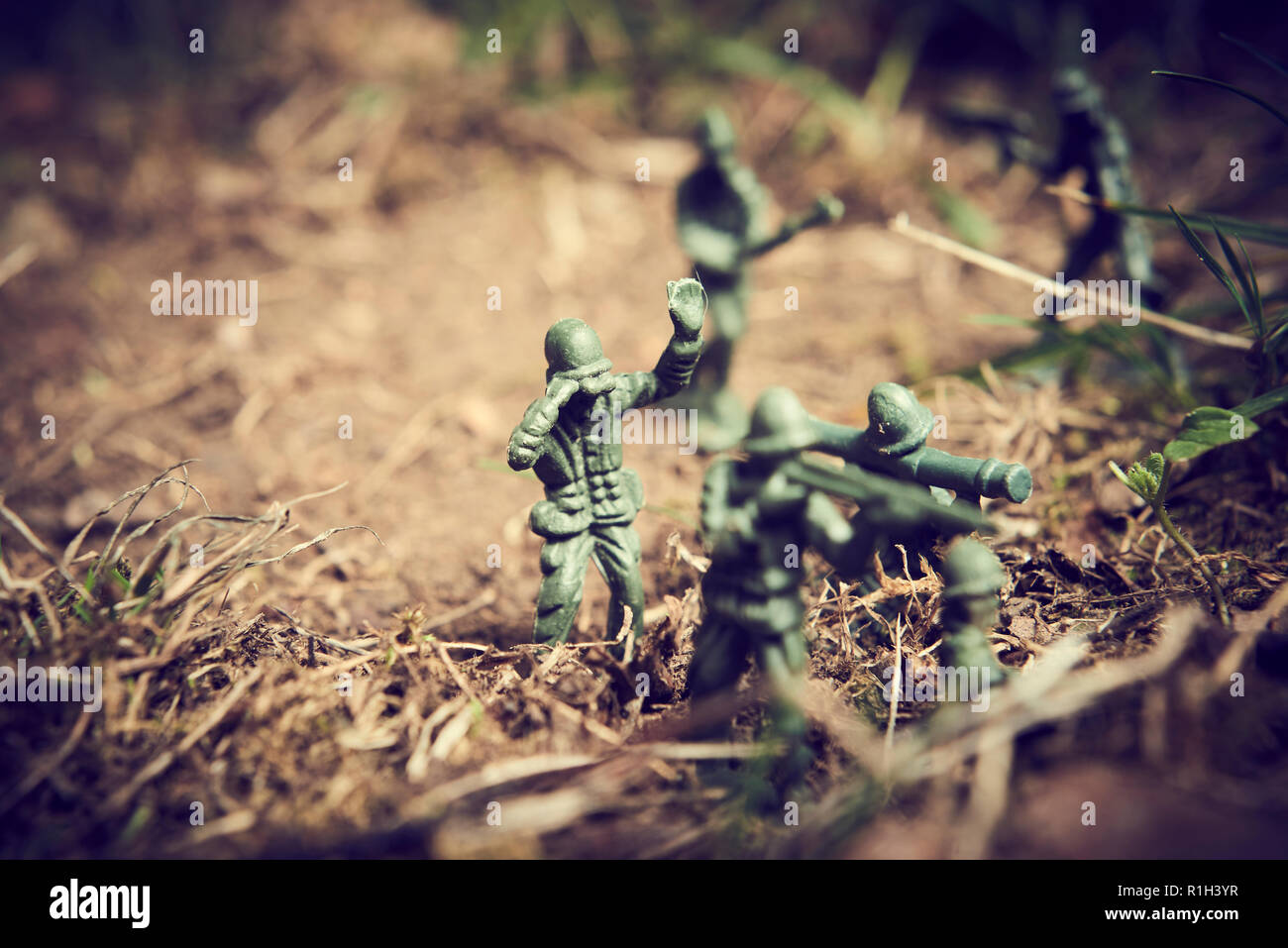 Soldiers in jungle fighting. Concept image of toy plastic soldiers in real grass.  Selective focus. Stock Photo