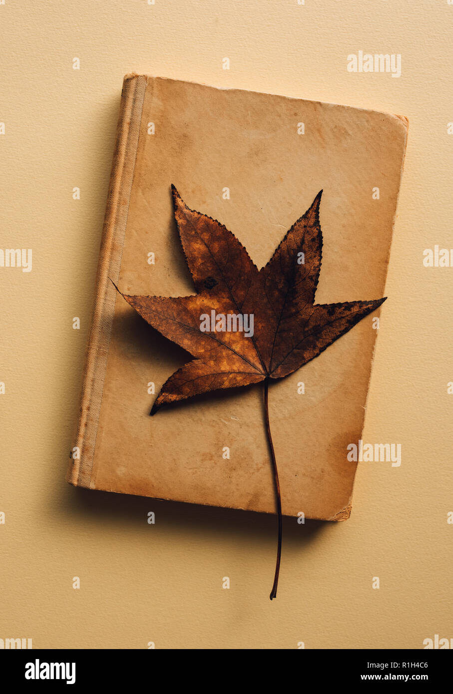 Old book and autumn leaves, fall season concept Stock Photo